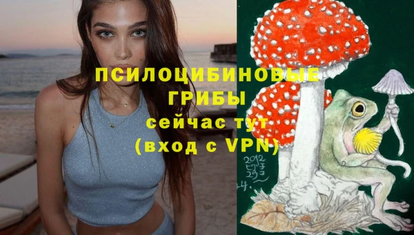ПСИЛОЦИБИНОВЫЕ ГРИБЫ Балахна