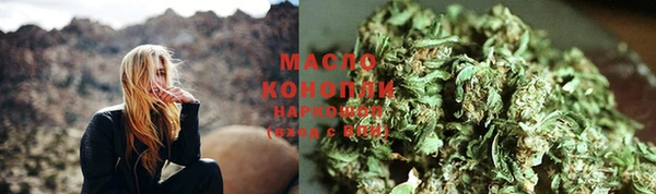 молекула духа Елизово